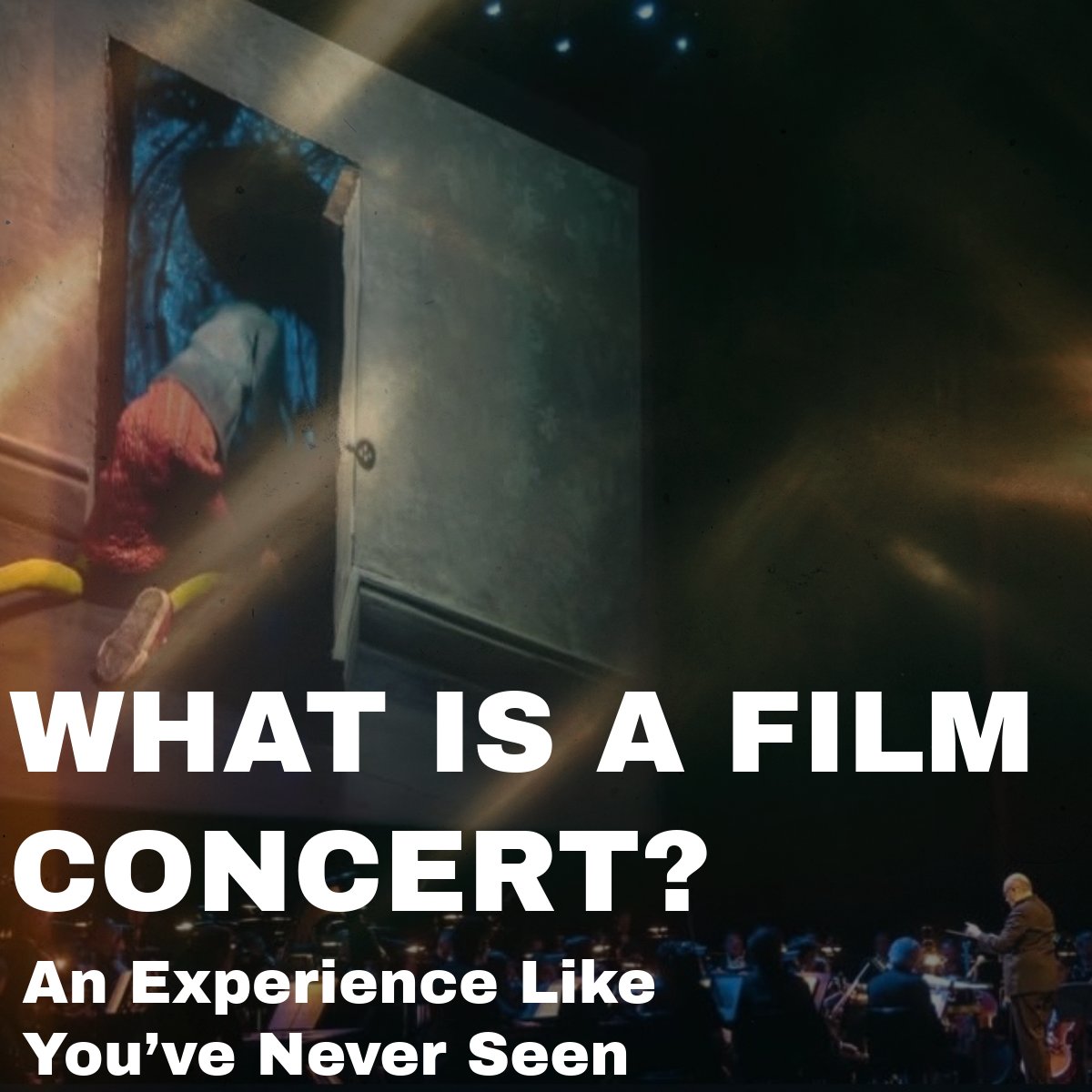 TCG Entertainment tweet media