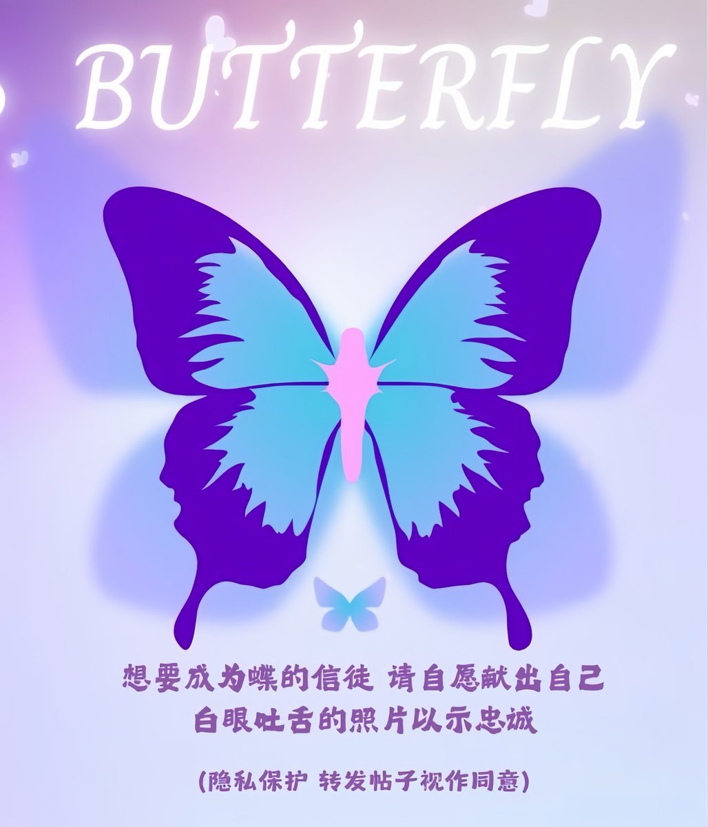 蝶 tweet media