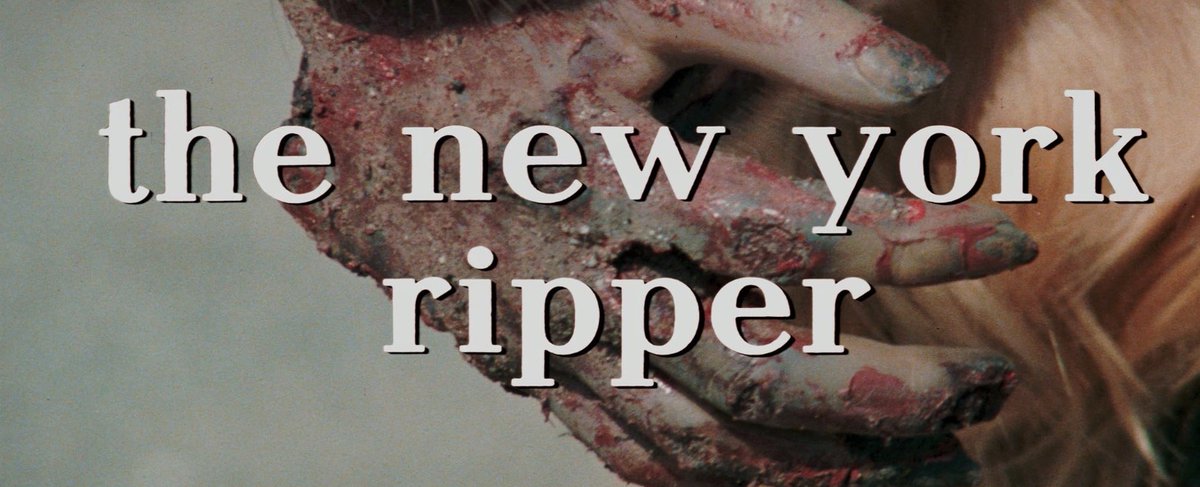 Mondo Bizarro tweet media