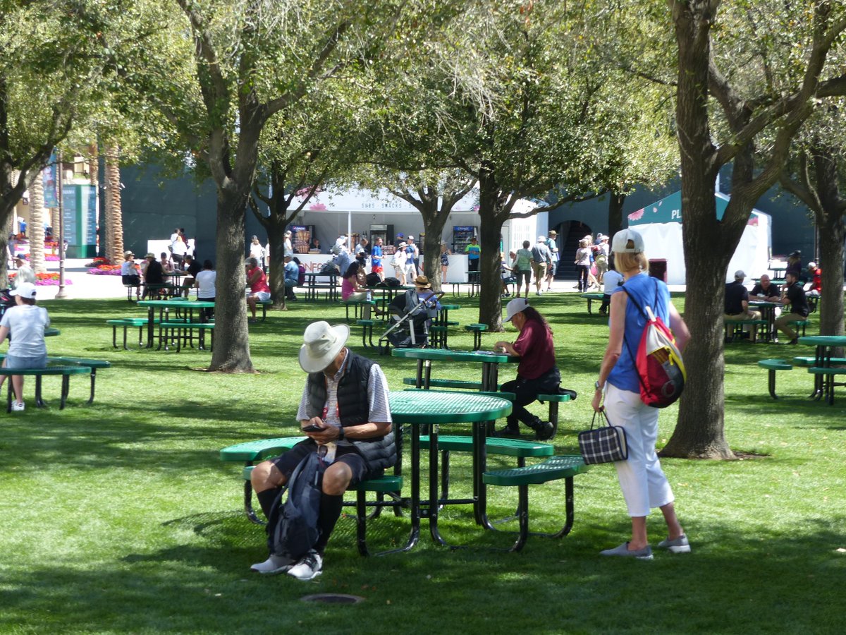 Tom Tebbutt tweet media