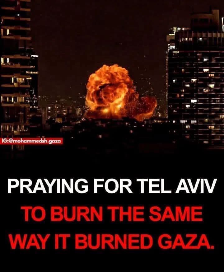 romaissa tweet media