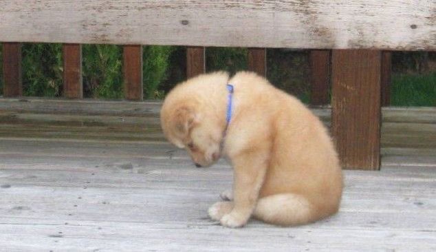 I’ve given my all and it’s only Wednesday