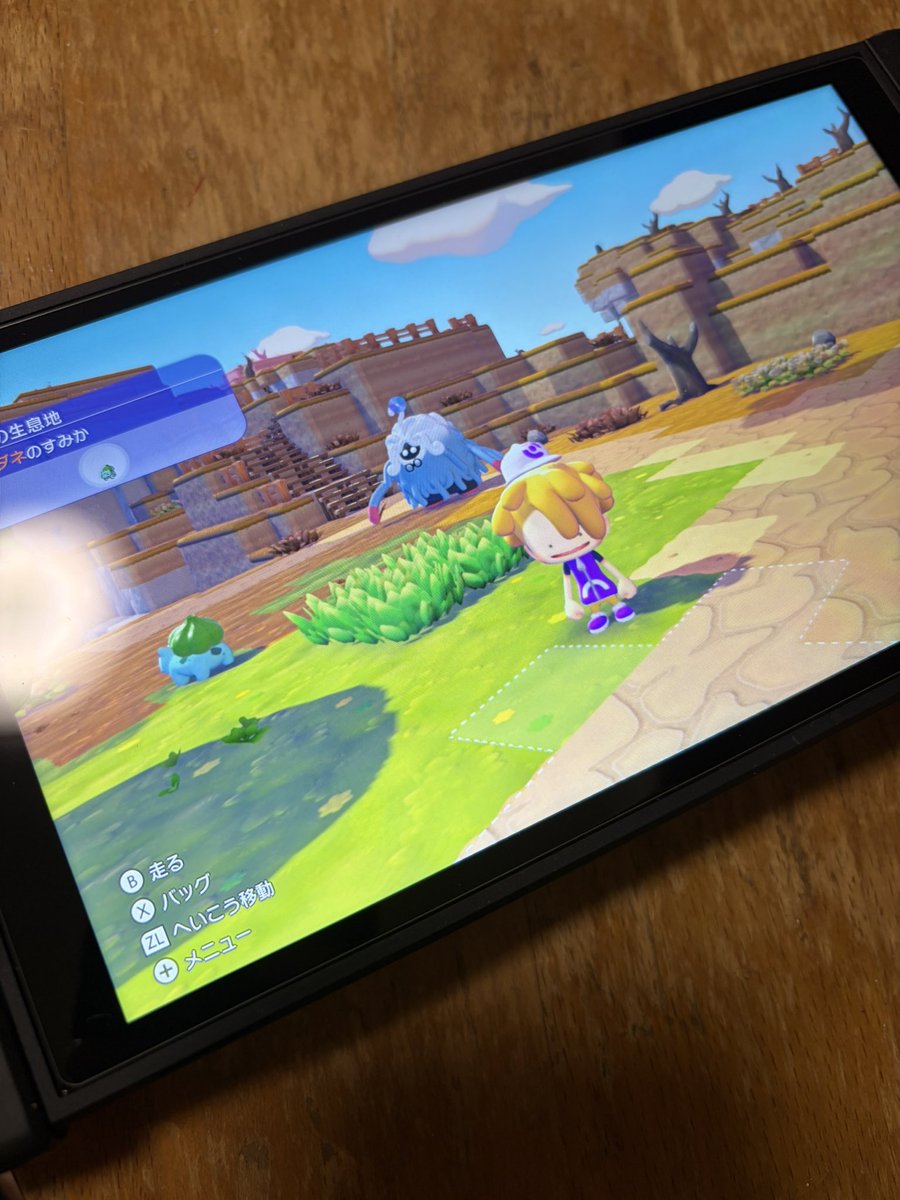 開始10分　もう面白い
#ぽこあポケモン
