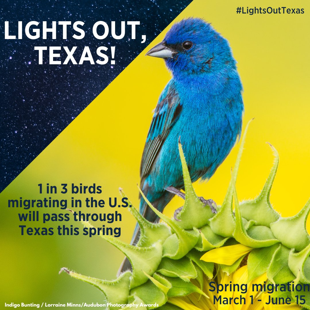 Travis County Environmental Quality tweet media