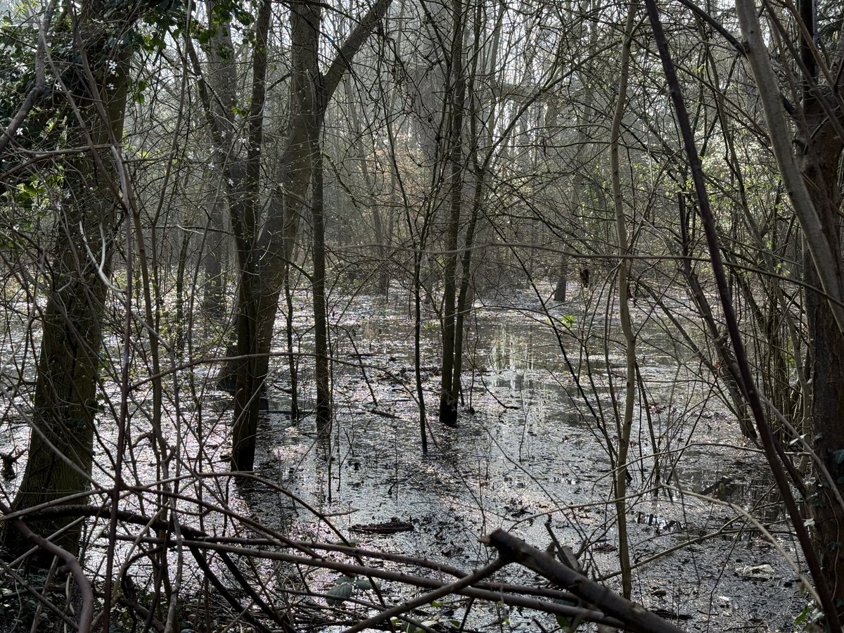 Thames Path tweet media