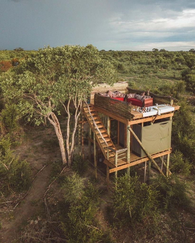 Africa’s Best Safari Country. Top 1%

1. Botswana 🇧🇼

2. Tanzania 🇹🇿

3. Kenya 🇰🇪

4. Zimbabwe 🇿🇼

5. South Africa 🇿🇦

6. Zambia 🇿🇲

7. Uganda 🇺🇬

8. Namibia 🇳🇦

9. Rwanda 🇷🇼

10. Mozambique 🇲🇿

Source: Safari Bookings 2025.

📍Sable Alley Camp in Okavango Delta, Botswana.