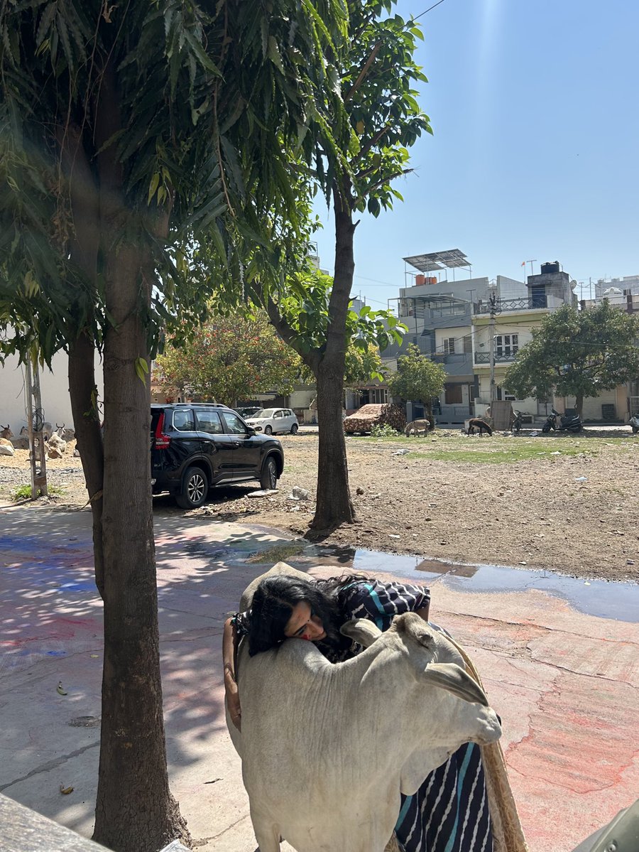 chiniokbye tweet media