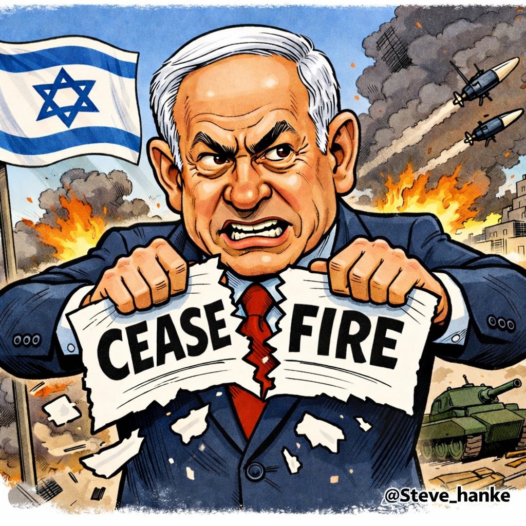 Steve Hanke tweet media