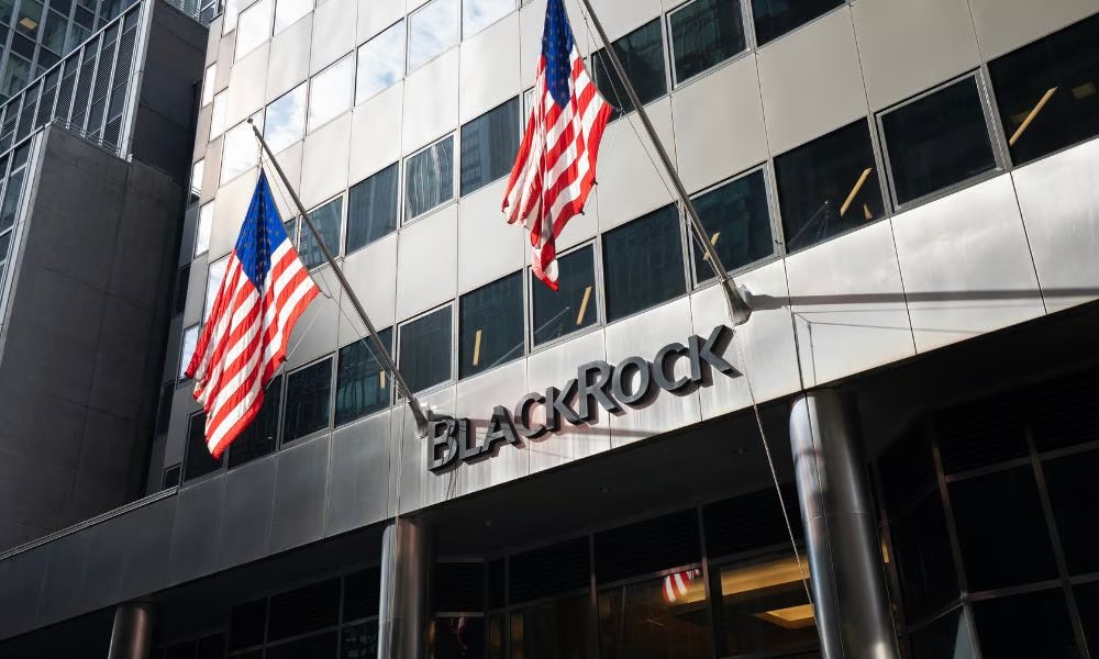 España Crave tweet media