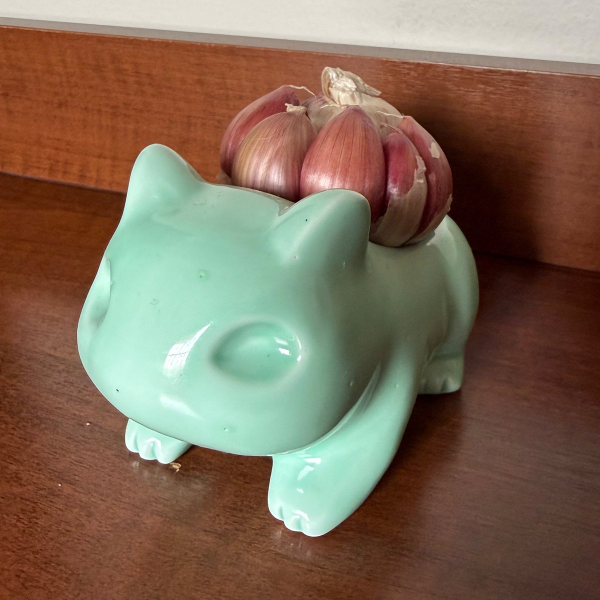 Queria mostrar pra vocês meu porta alho.