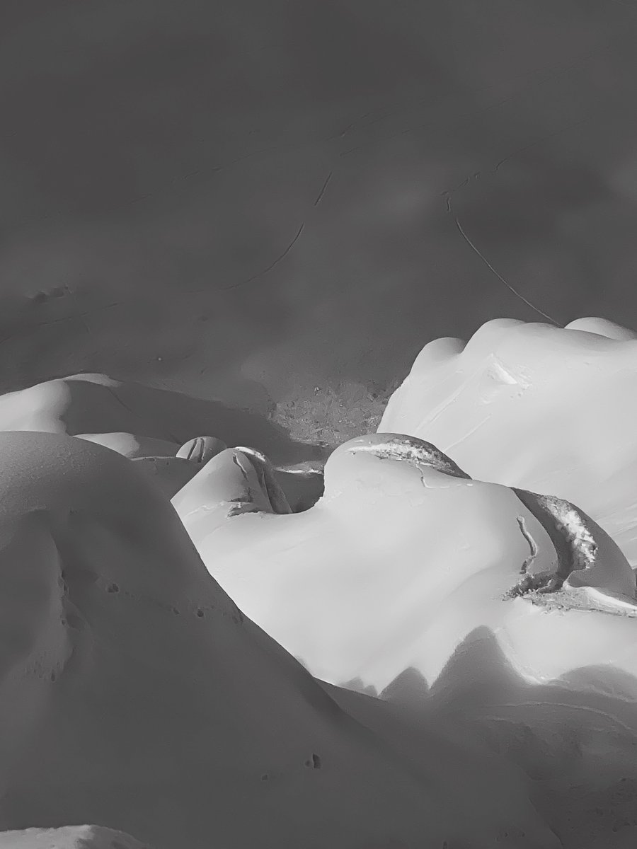 FREESKIER magazine tweet media