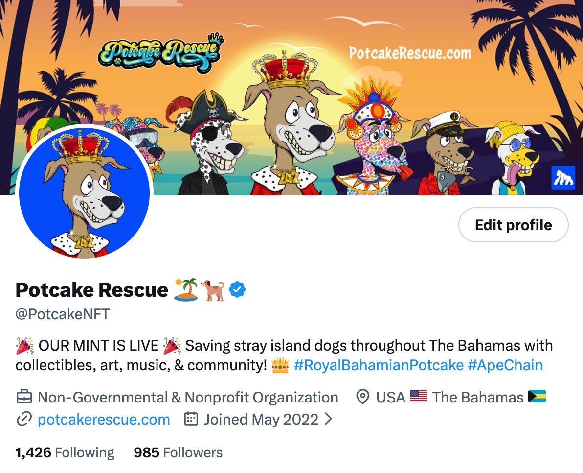 Potcake Rescue 🏝🐕 tweet media