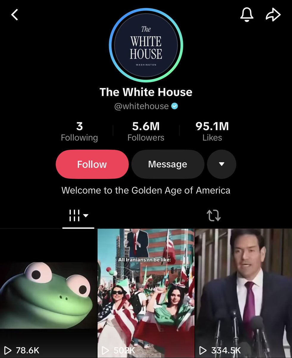 $LIZARD 🦎 tweet media