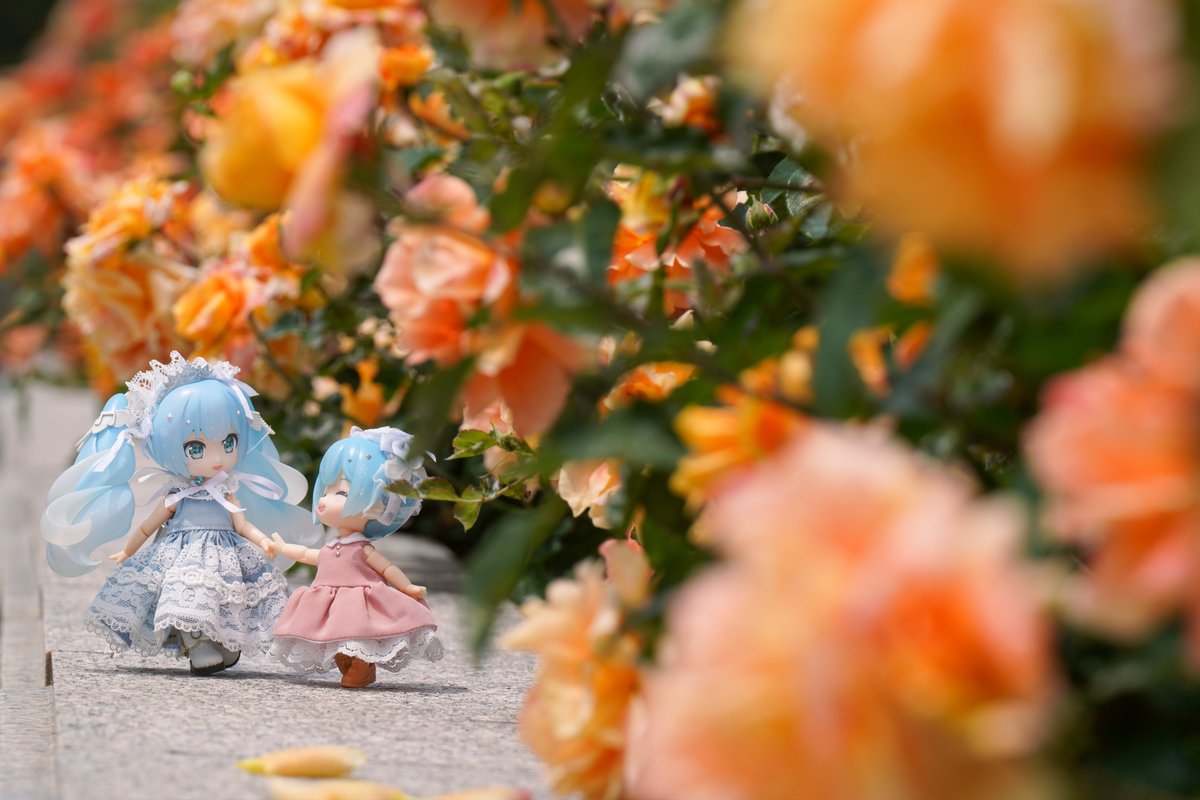 #深夜のねんどろ撮影６０分一本勝負

3/4【きょうだい・しまい】遅刻、既出
我が家の姉妹