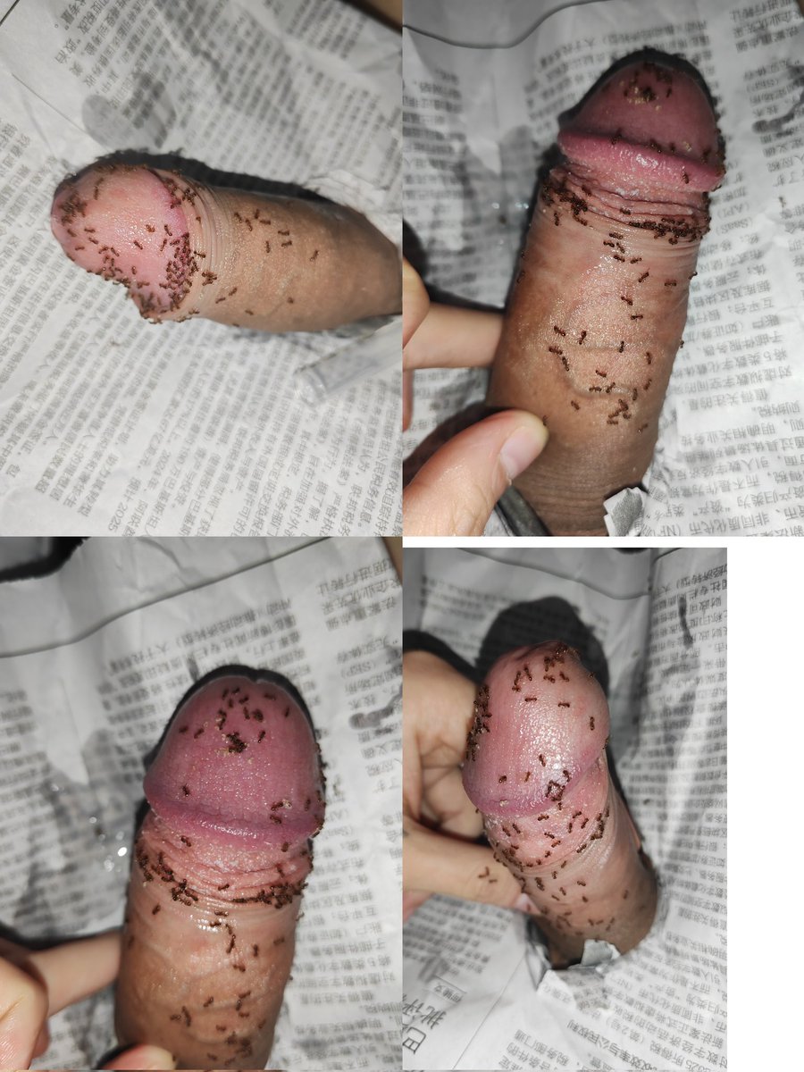 爱整屌的脏土豆 tweet media