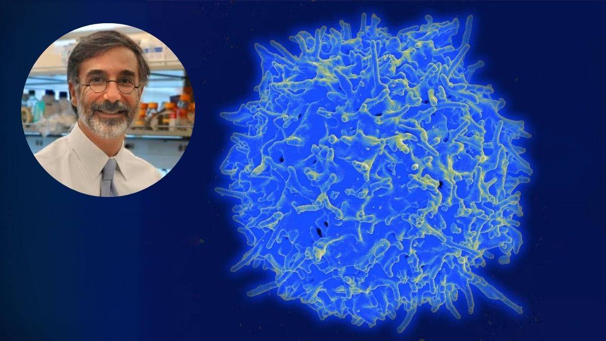 SaluDigital tweet media