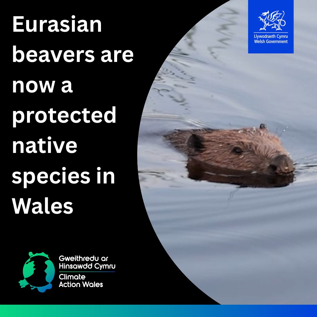 Welsh Government Climate Change tweet media