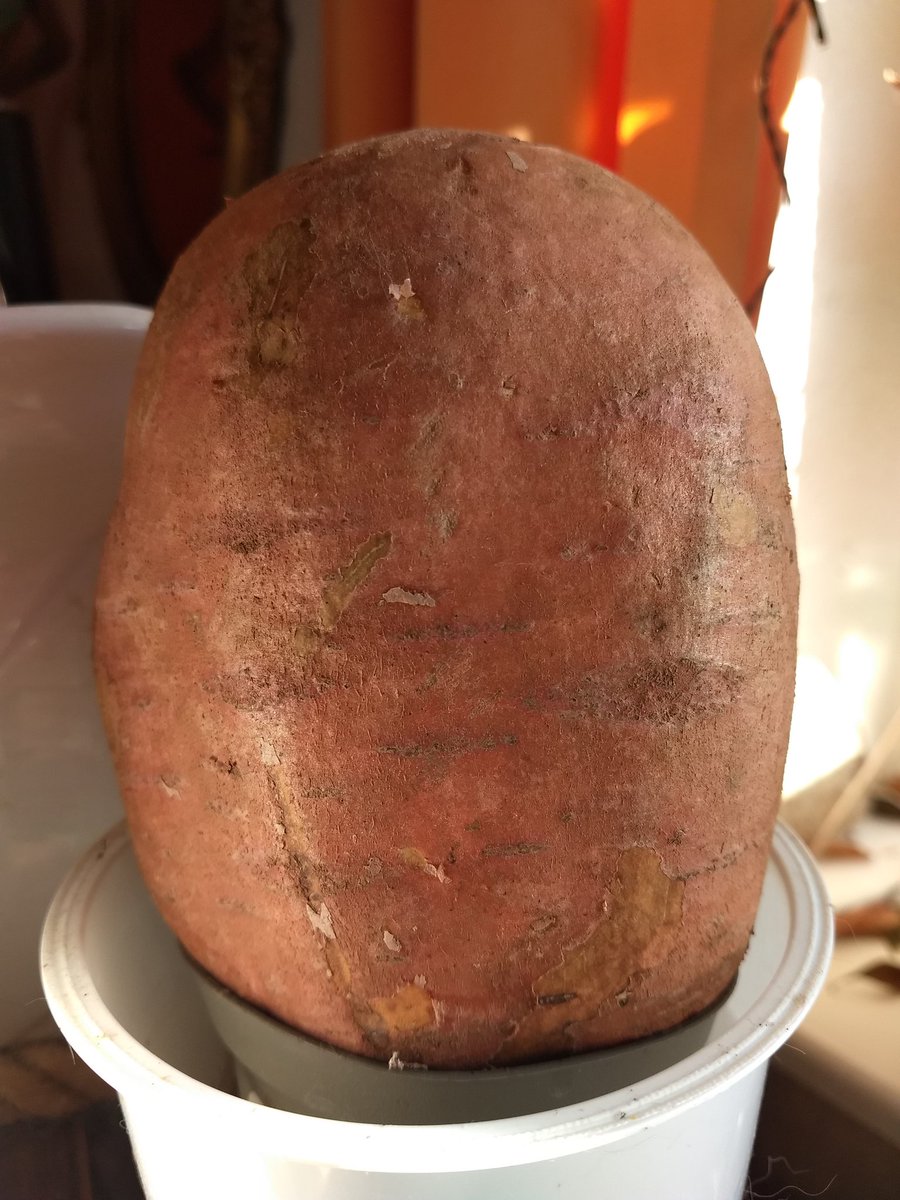 Jessica Heindorff tweet media