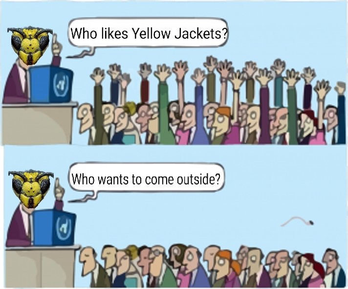 320,000,000 Yellow Jacket Wasps tweet media