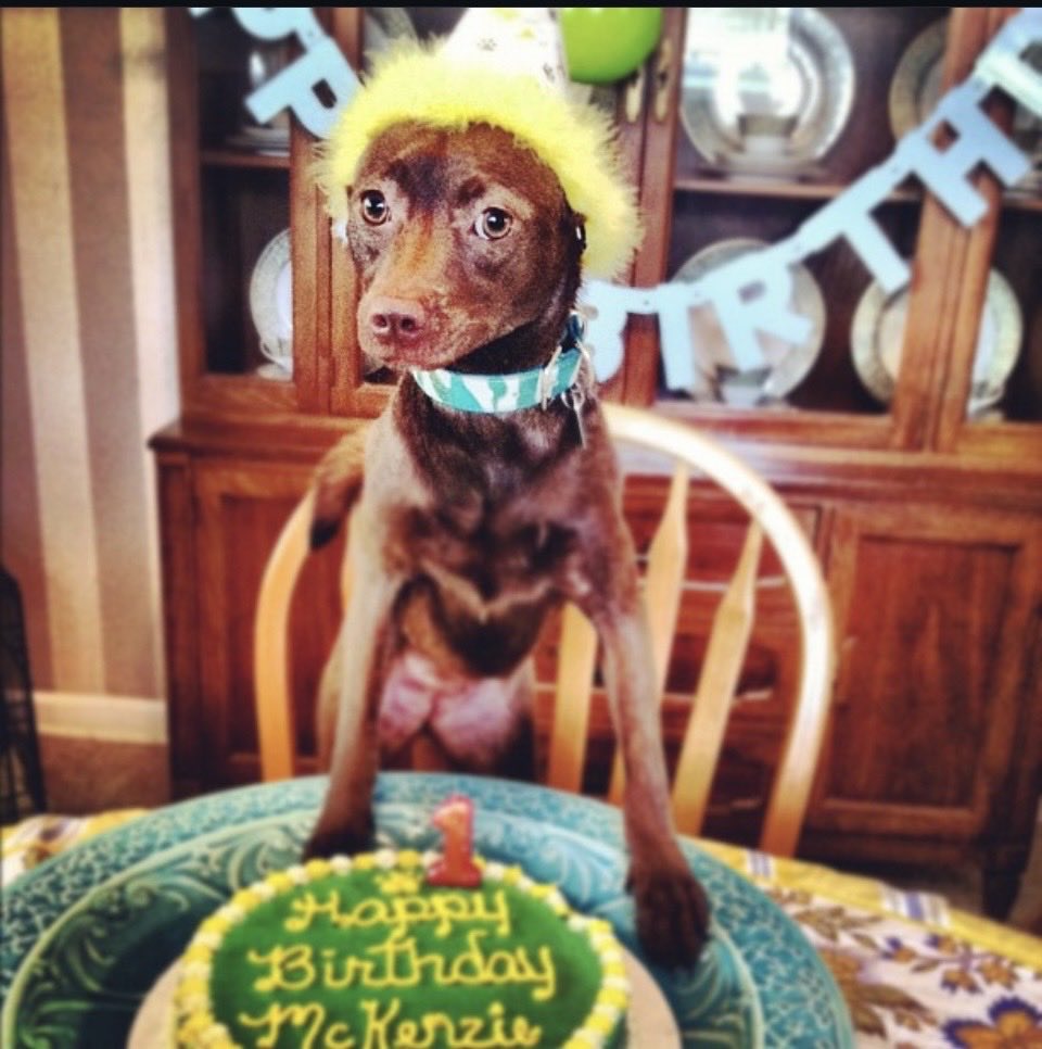 Chef_Matt tweet media