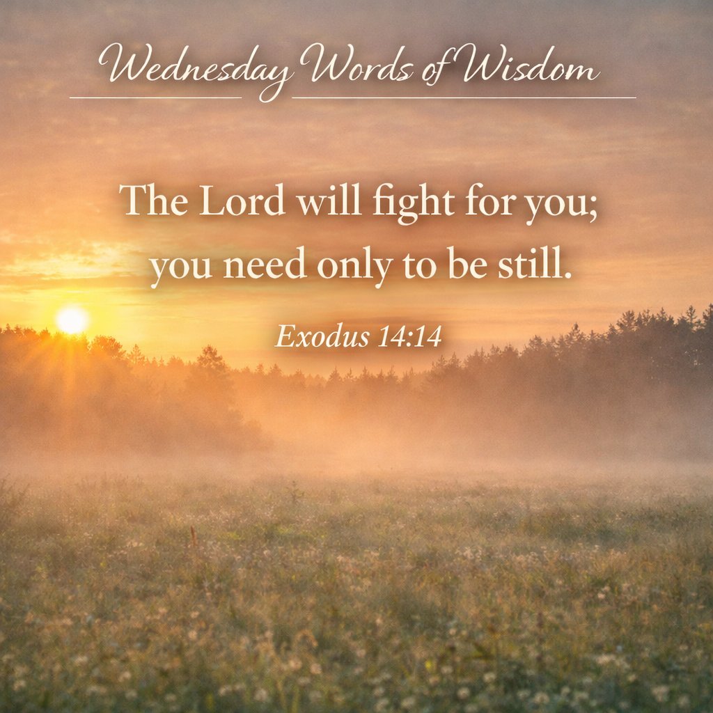 Yolonda Tonette Sand tweet media