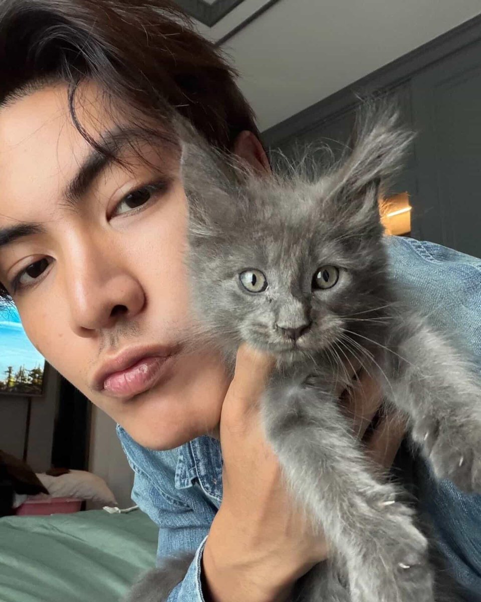 i'm enjoying his cat dad era like crazy i'm having cuteness aggression