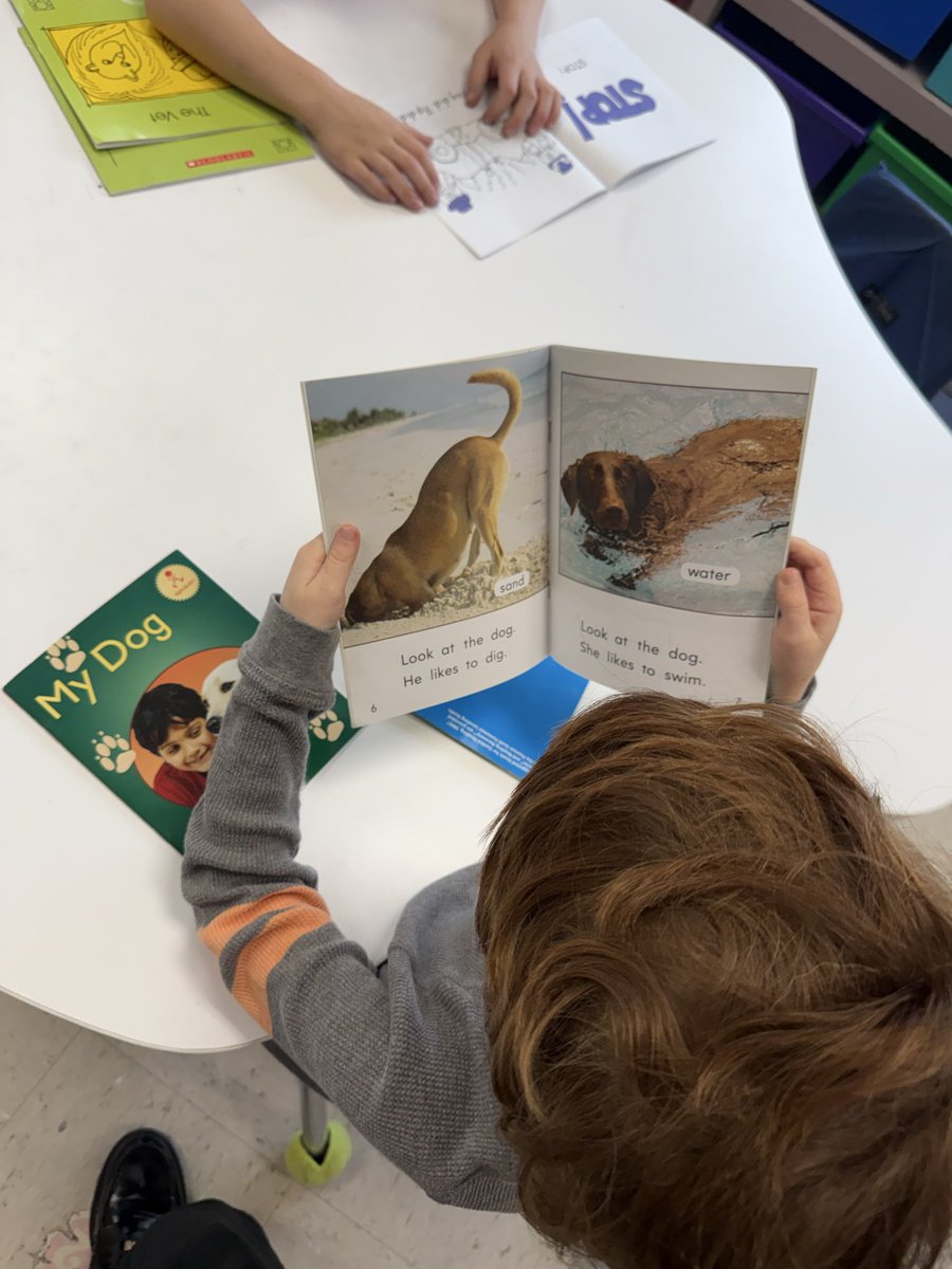 Ms. Volk tweet media