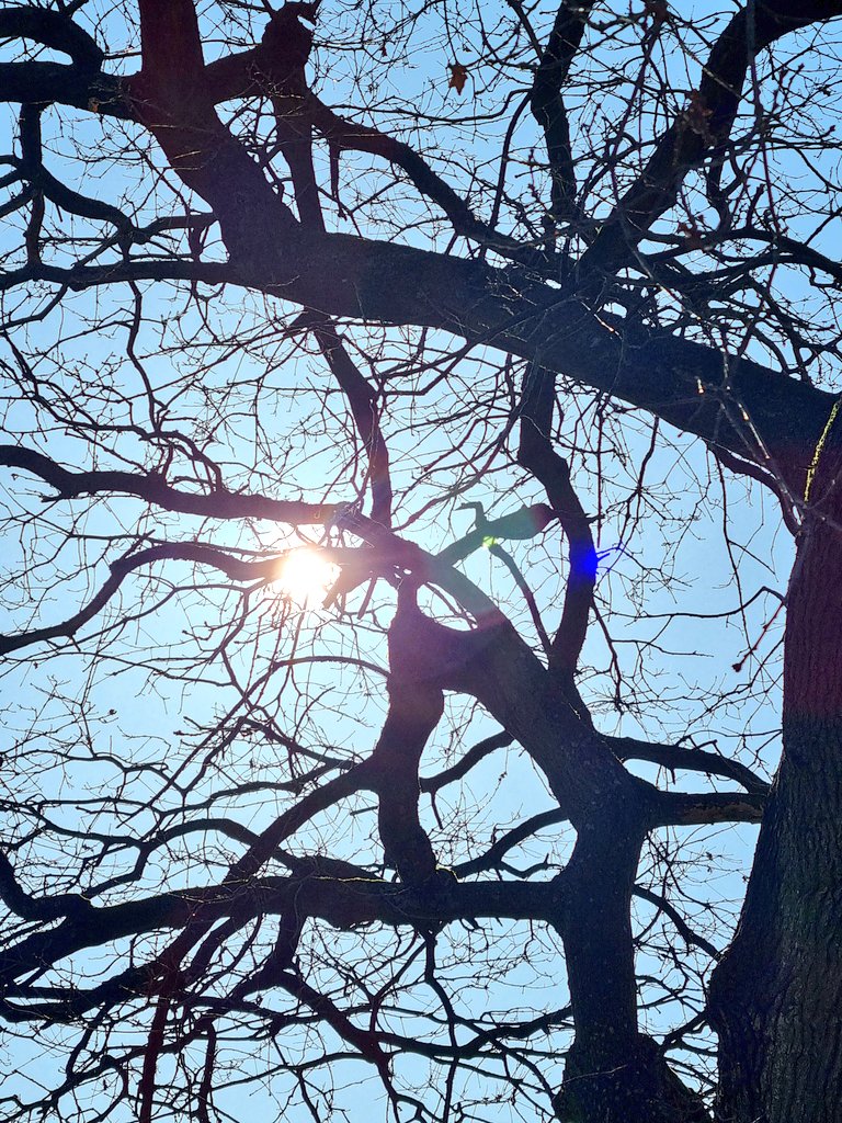 Lynda Jones tweet media