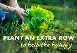CannabisRedding's tweet image. #Redding #Homeless Blog - Spring Into ACTION Food Drive for Loaves and Fishes! Monetary #donations welcome as well! Need Sleeping bags Tents Tarps Blankets Gloves Socks Flashlights Lanterns Batteries Dog and Cat food etc...  tinyurl.com/353anv6y #MtShasta #Shasta #California