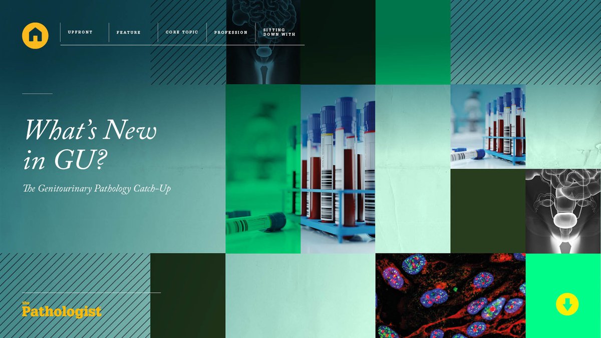 The Pathologist tweet media