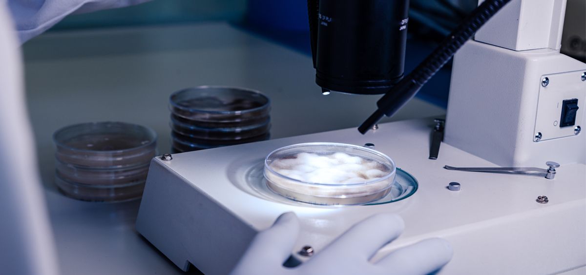 SaluDigital tweet media