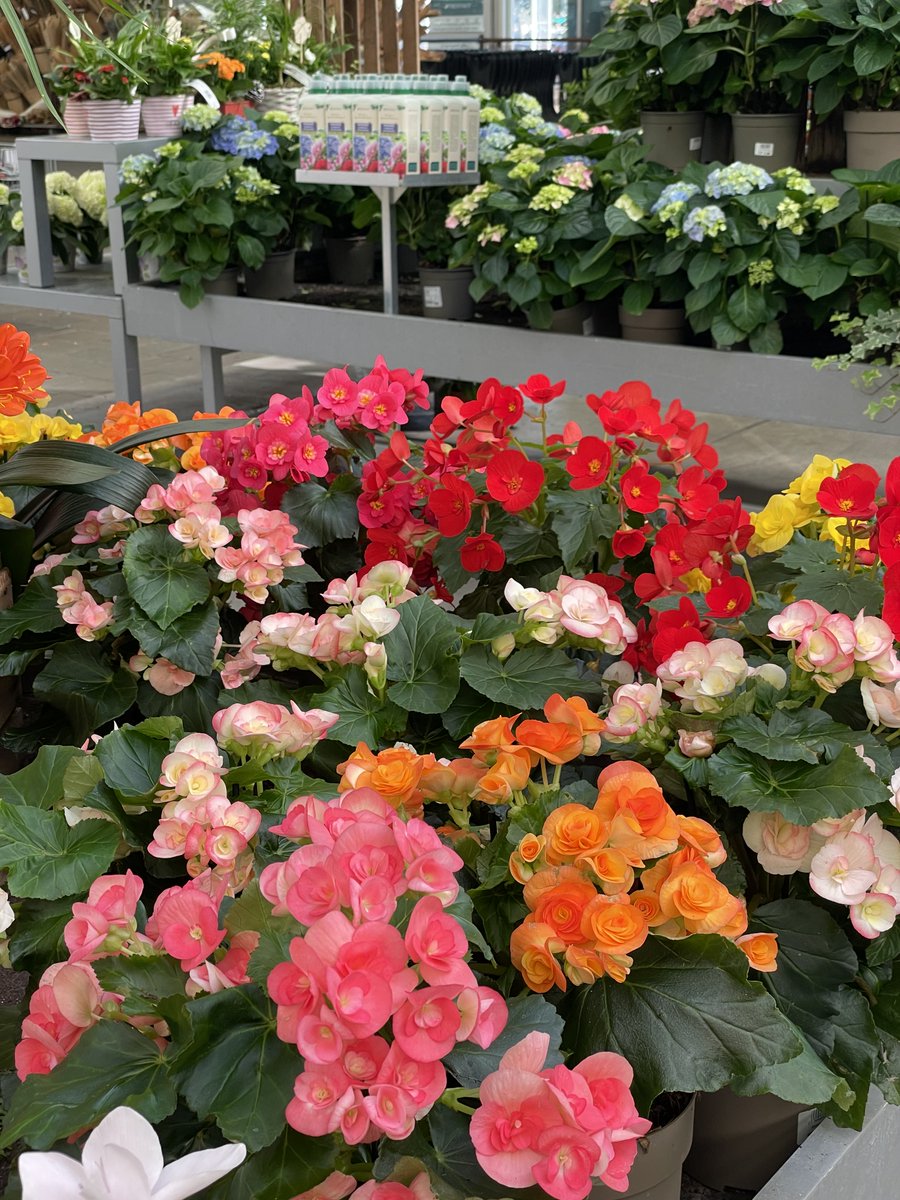 Truffaut tweet media