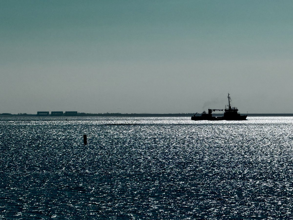 Chris.Talsma tweet media