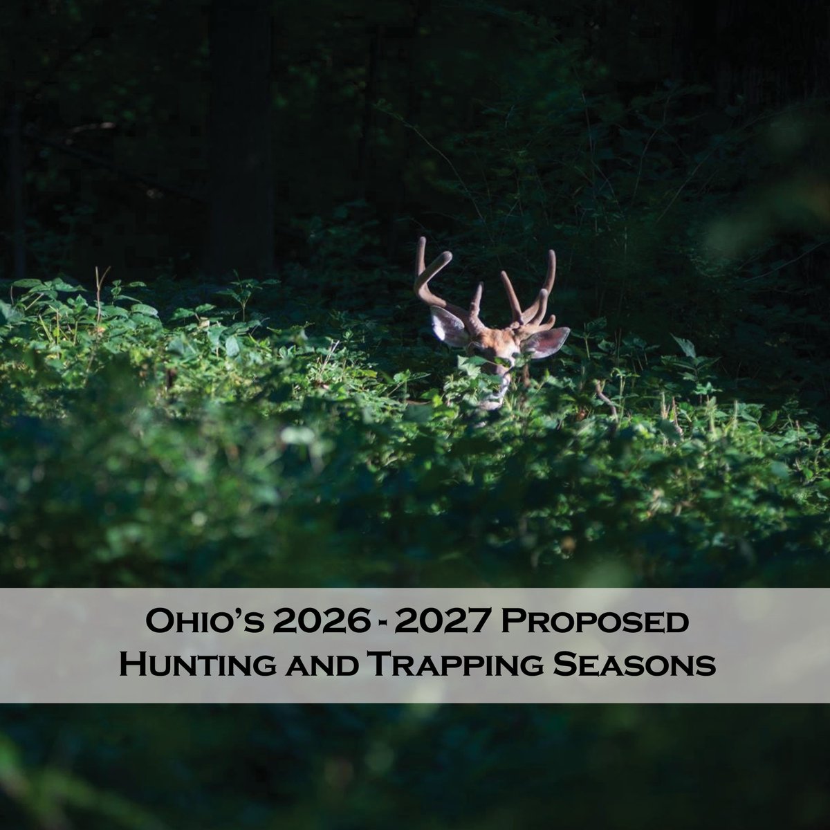 Ohio Div of Wildlife tweet media