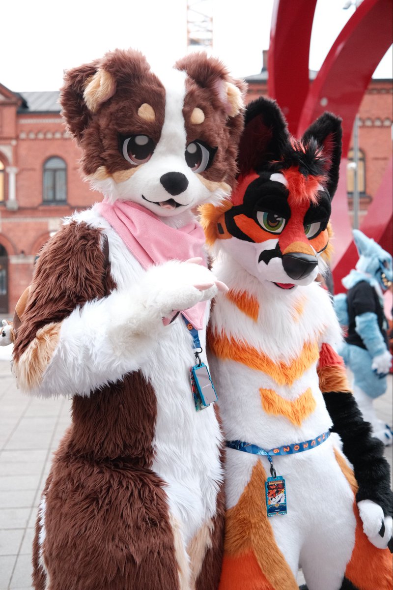 DEADSTOOOCK's tweet photo. DOGGY 👉👈 @KindridFox https://t.co/eJTGFlfAJR