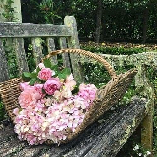 Peggy ☘️ tweet media