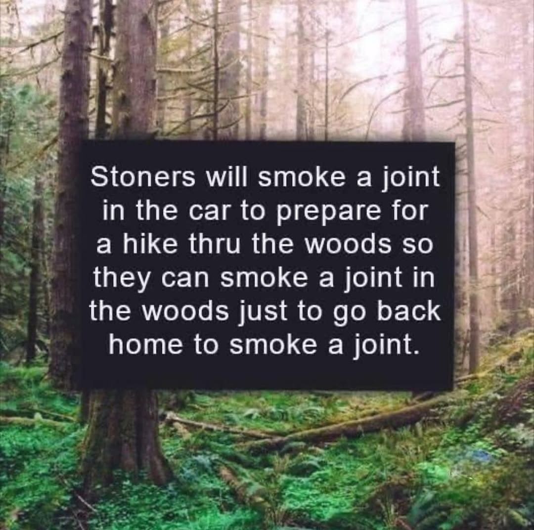 things that i smoke weed to tweet media