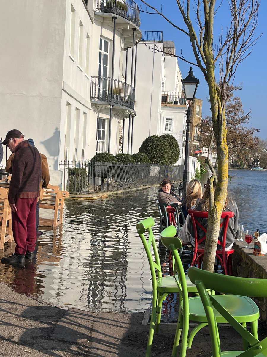 Professor Mark Britnell tweet media