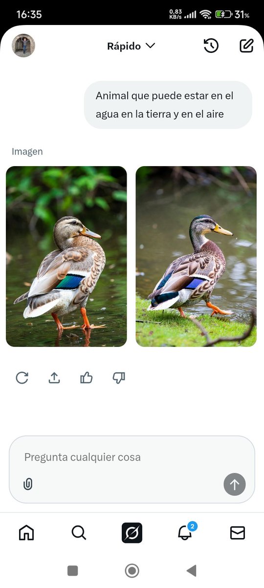 Gork, sabe hacerlo; bien