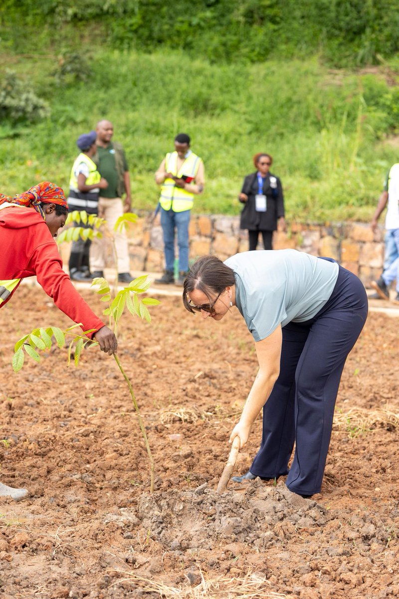 Ministry of Infrastructure | Rwanda tweet media