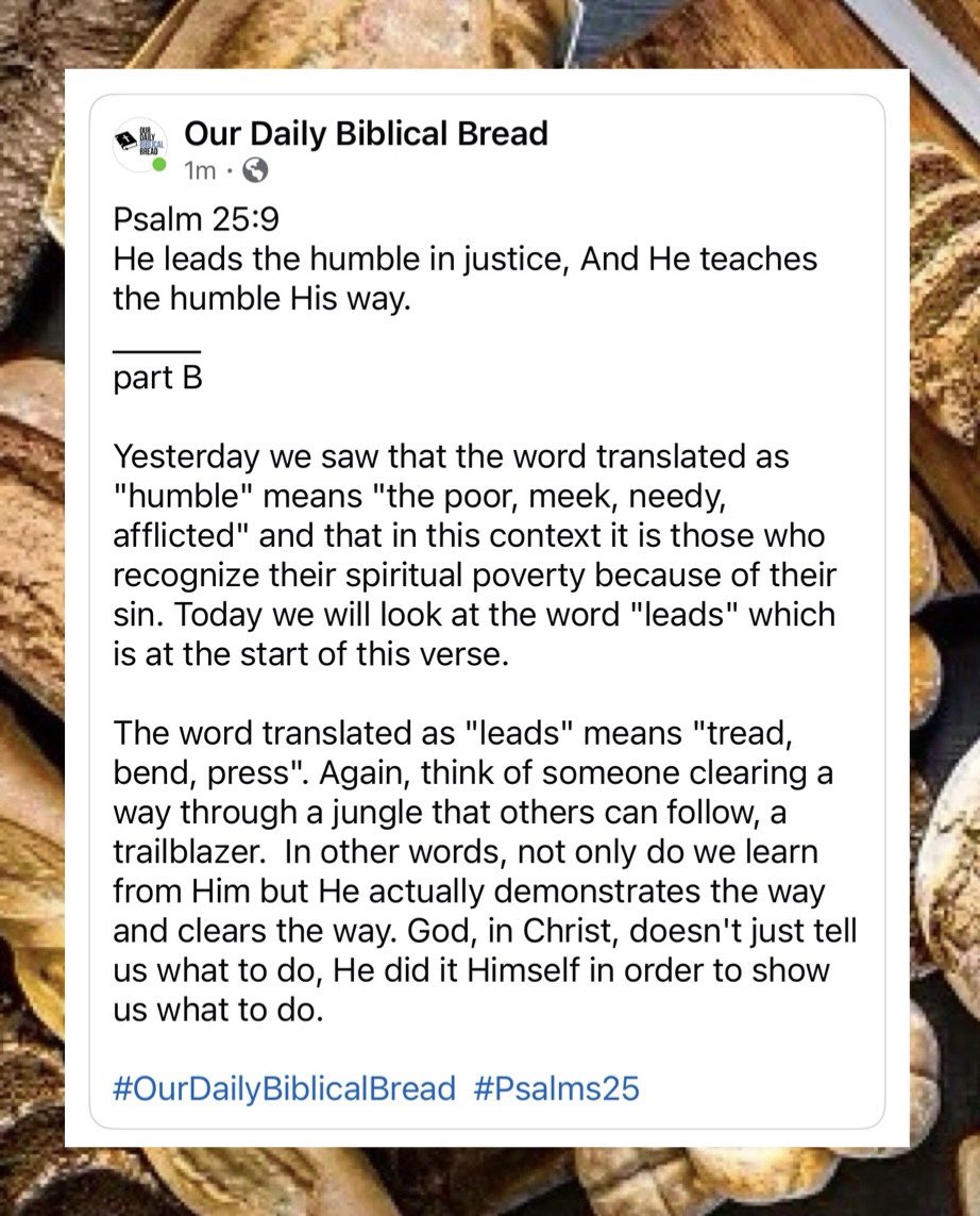 Our Daily Biblical Bread (@BiblicalBread) / Posts / X