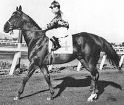 HORSERACING1002's tweet photo. THREE BARS ๐บ๐ธ1940 (PERCENTAGE -MYRTLE DEE BY LUKE MCLUKE)
#ThreeBars
B/ Jack Parirish (Ky)๐บ๐ธApril 8, 1940
O/ Sidney Vail
Clm $2,000
PRISAL $10,000
28-12-3-1---$20,840
Speed H.
NTR Phoenix 5f 57,30
Stood Dart Ranch,
Leading QH sire, Sired 575, 356 winners foals TB & QH, 66 sw, QH & TB, Sired Lenas Bar, Mr. Bar None, Sugar Bars, Tonto Bars Grill, St. Bar, Gay Bar King, Rocket Bar, Lenas Bar, Lightning Bar, Hippo Pat Bars,
Died April 6, 1968
(Heart Attack)