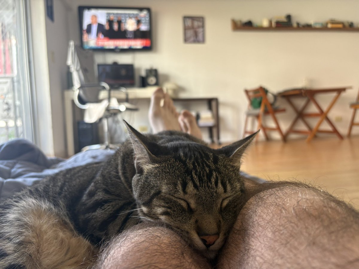 奇 諾 (@ninjabelga) on Twitter photo 