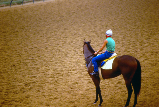 Grayson-Jockey Club tweet media