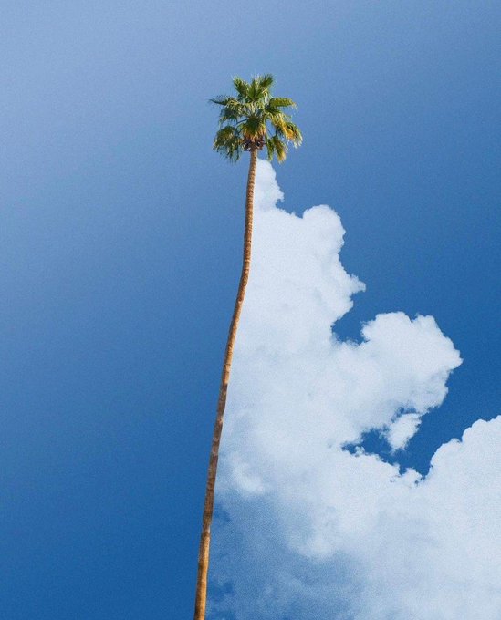 web.jpg (@webjpg) on Twitter photo 