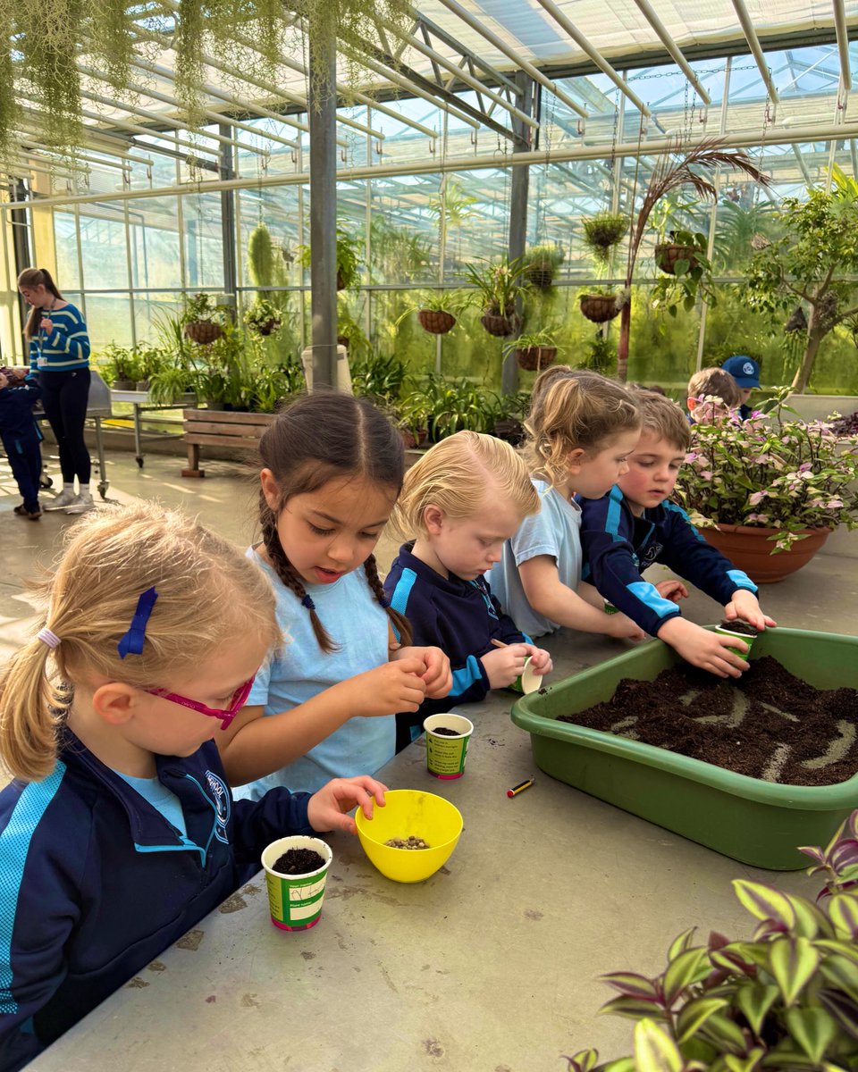 Upton Transition tweet media