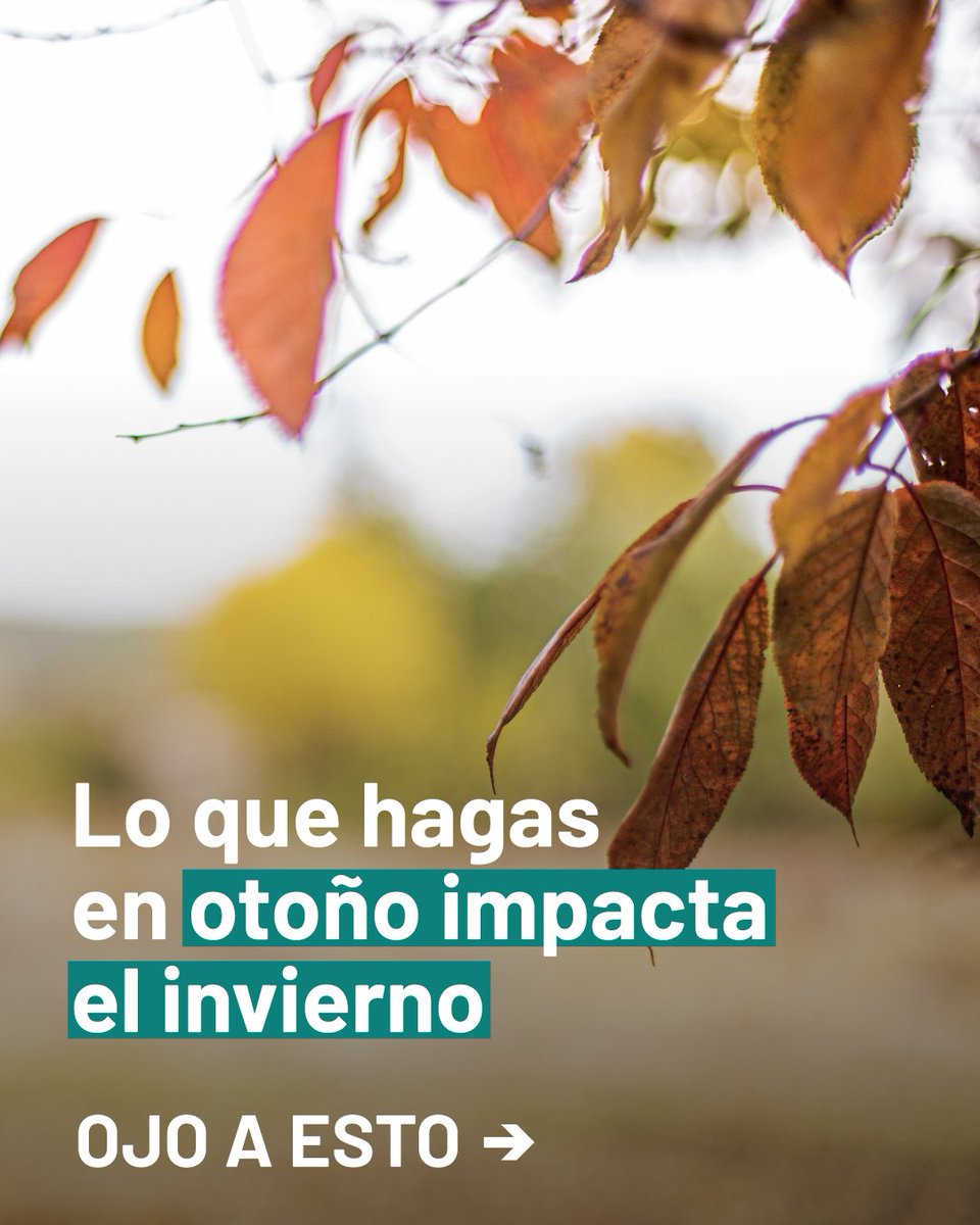 Progan - Productores Ganaderos del Uruguay tweet media