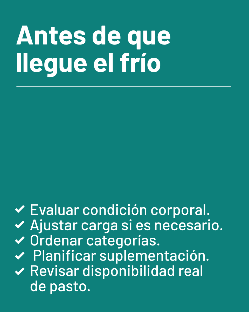 Progan - Productores Ganaderos del Uruguay tweet media