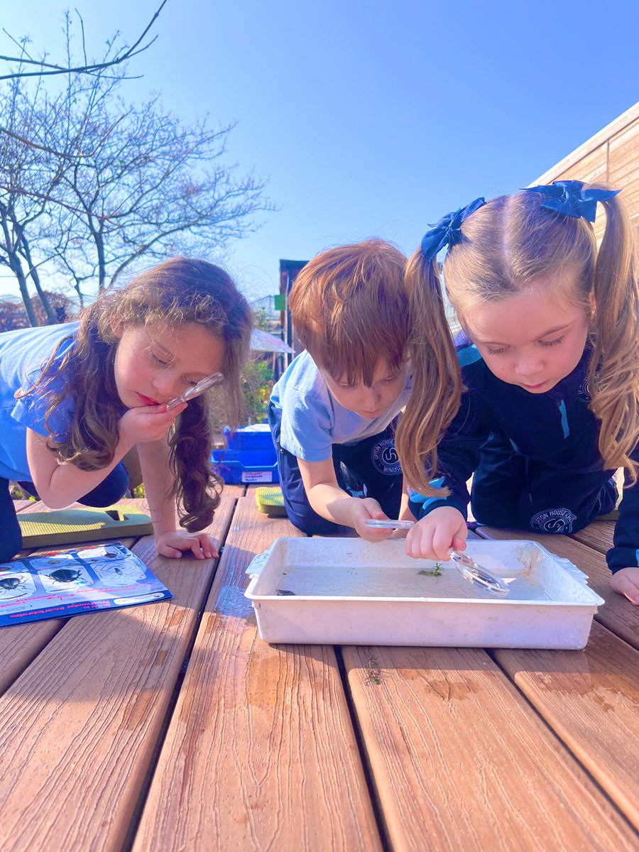 Upton Transition tweet media