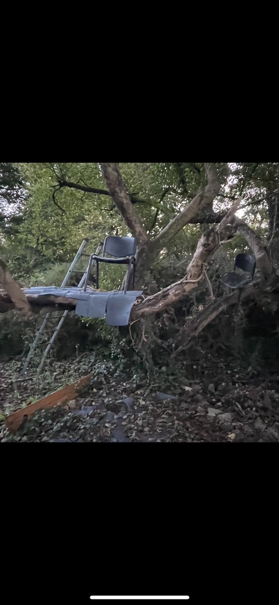 i’m getting drunk tonight, so some egirl please message me and pretend to like me to scam me out of all my possessions that would make my year thx